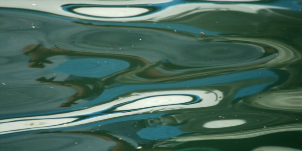 Vortrag von Vera Botterbusch im Rahmen der Bayreuther Stadtgespräche